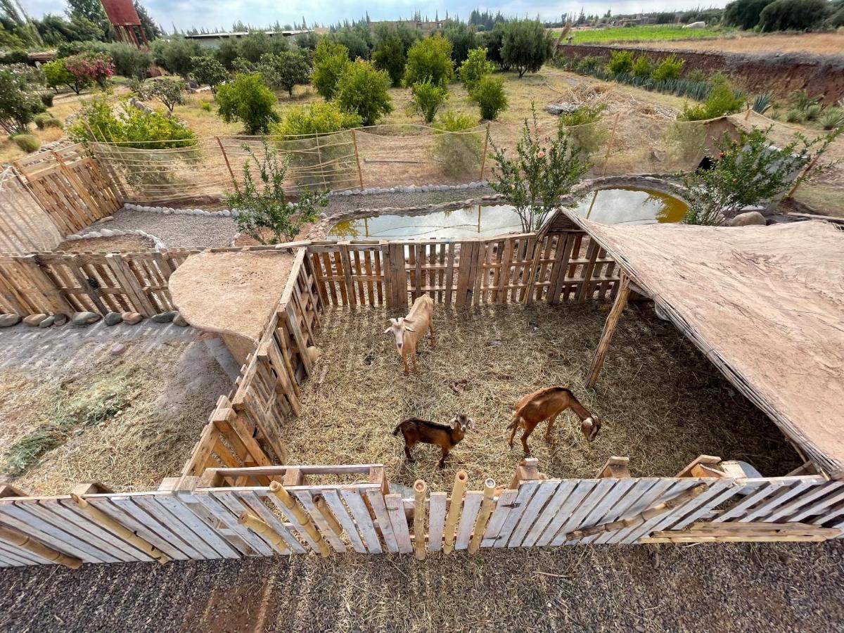 Jnan Lotf Marrakech Hotel El Harkat ภายนอก รูปภาพ