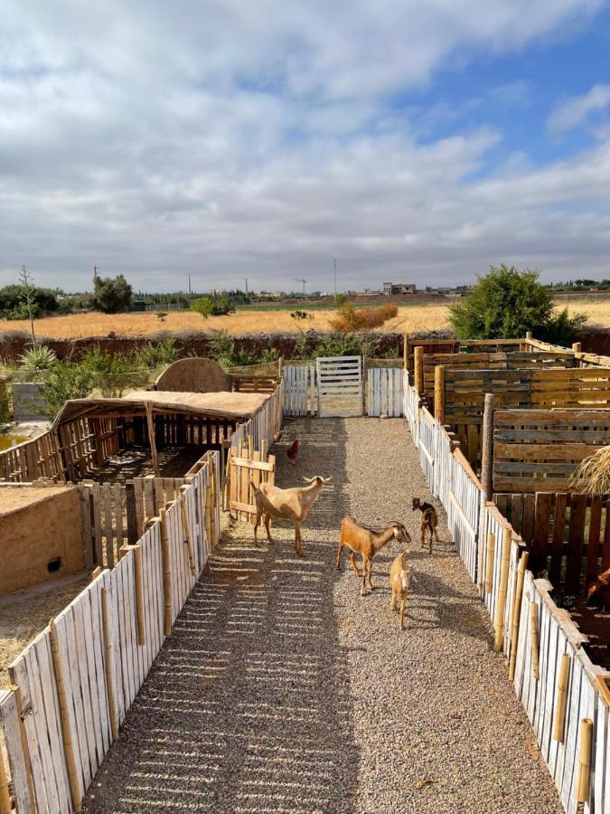 Jnan Lotf Marrakech Hotel El Harkat ภายนอก รูปภาพ