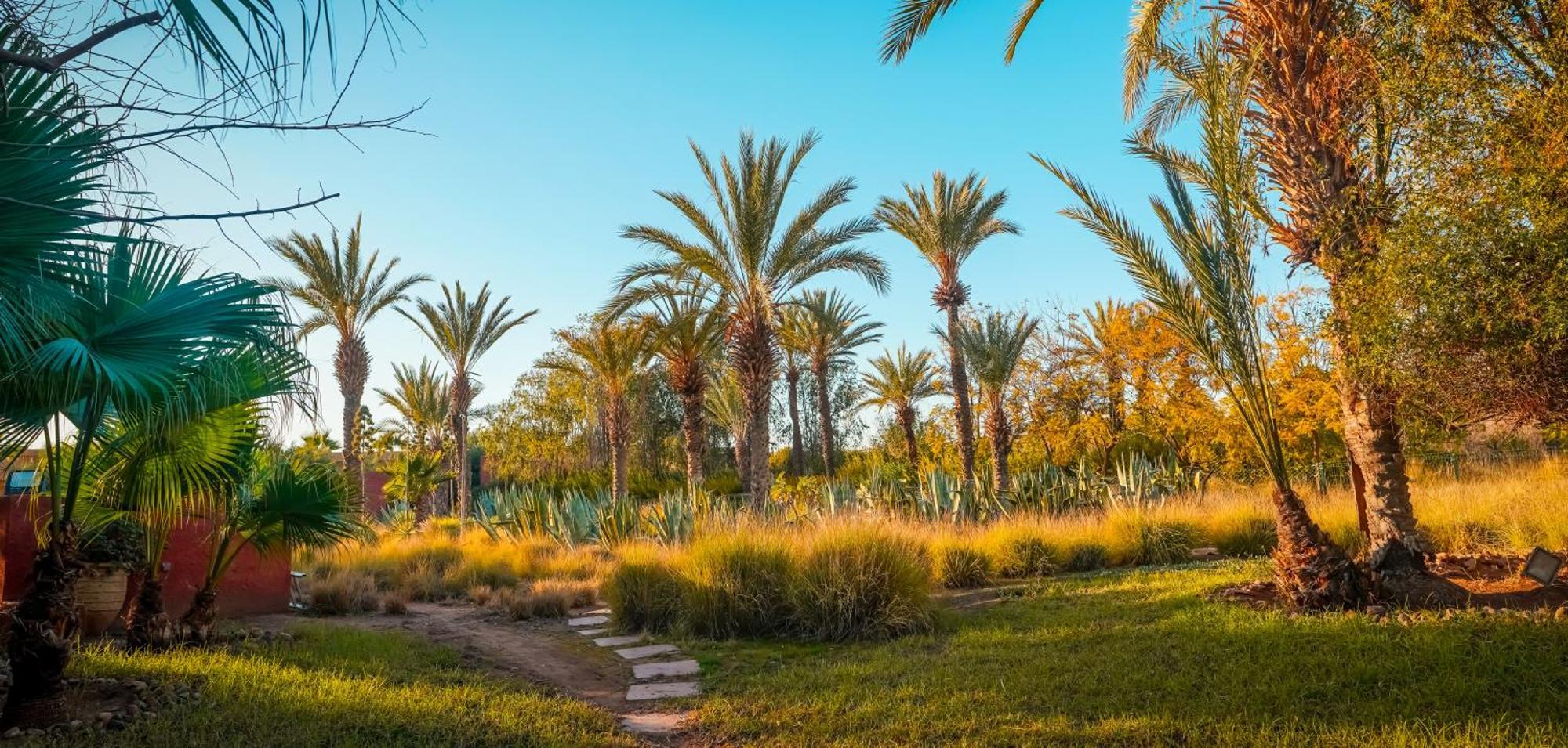 Jnan Lotf Marrakech Hotel El Harkat ภายนอก รูปภาพ